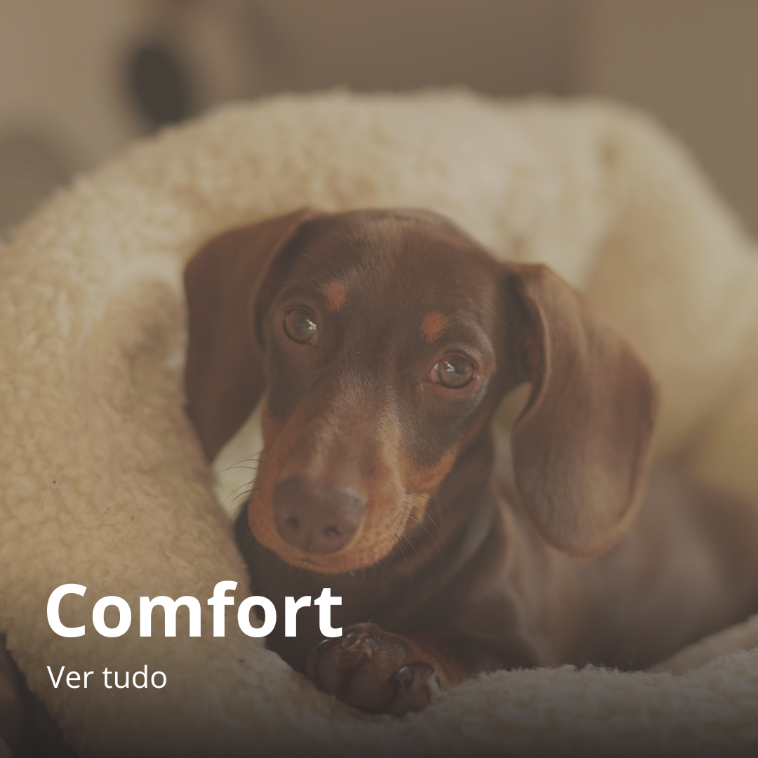 Comfort and well-being