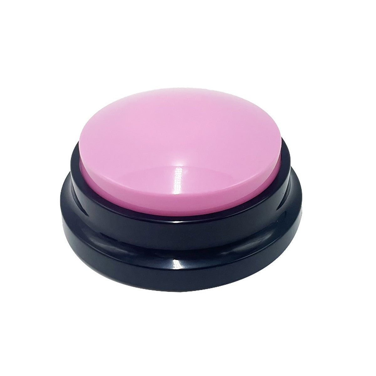 Talking Buttons for Pets