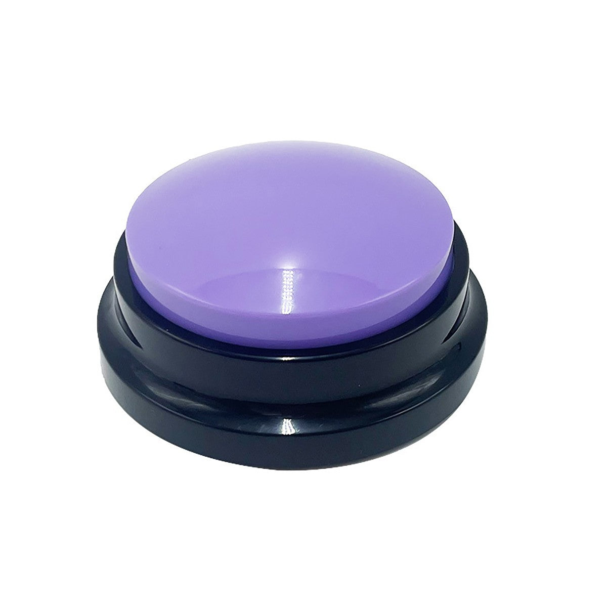 Talking Buttons for Pets