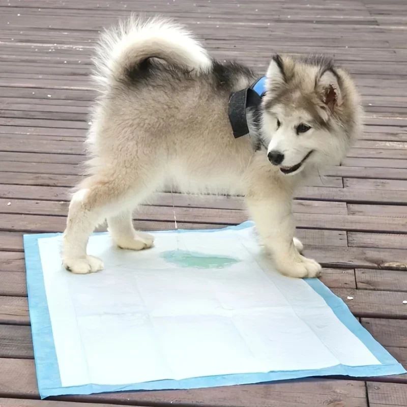 Pet Training Pads