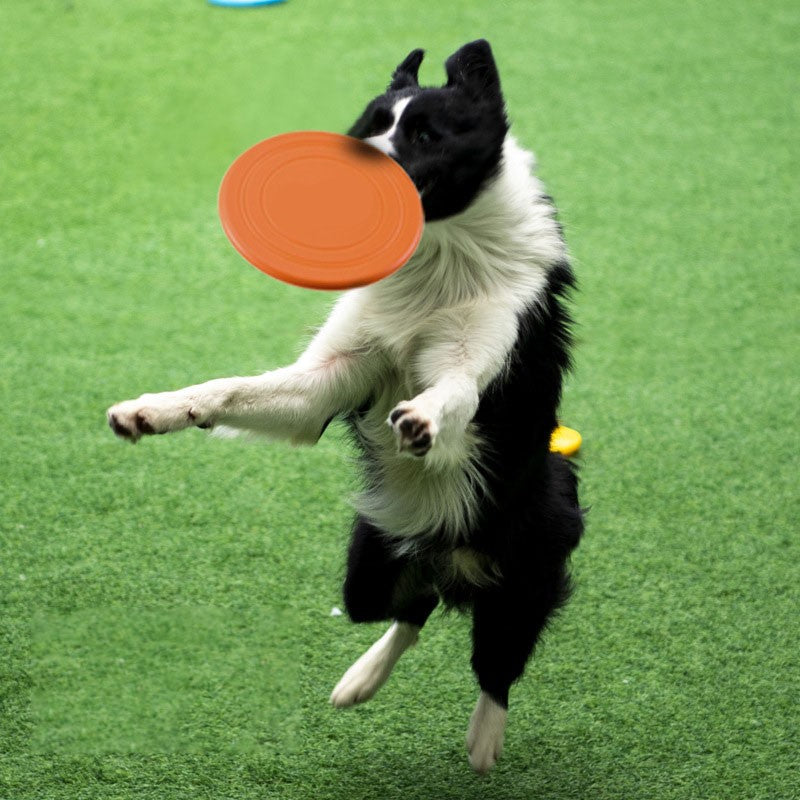 Colorful Soft Dog Frisbee