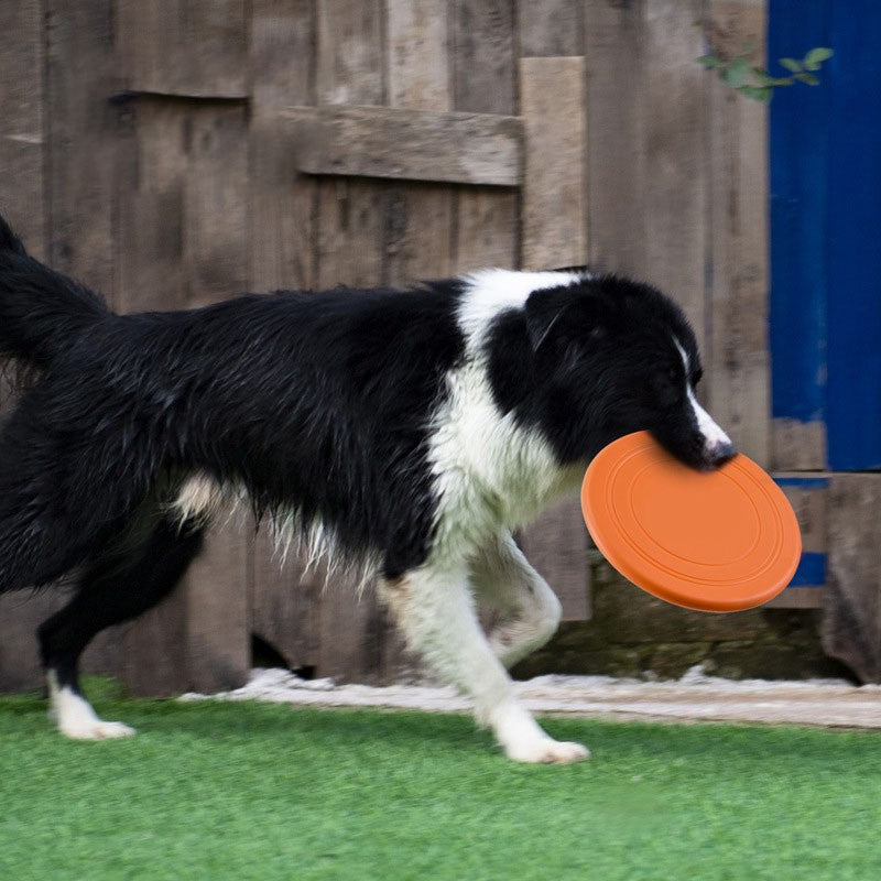 Colorful Soft Dog Frisbee