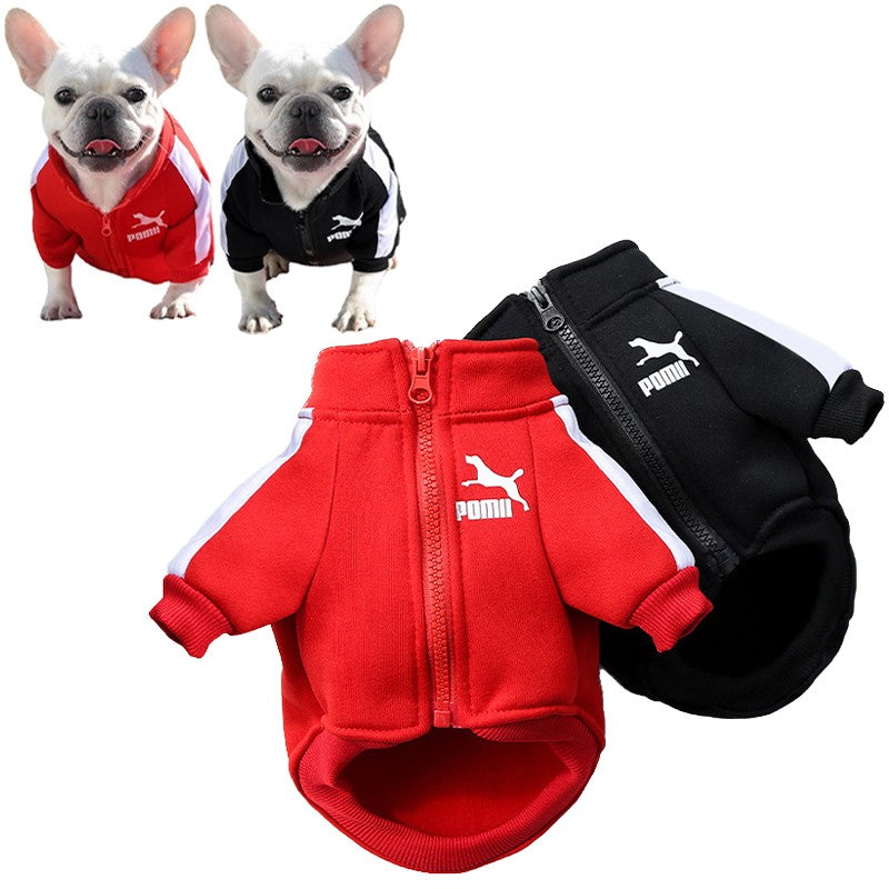 Sporty Dog Tracksuit