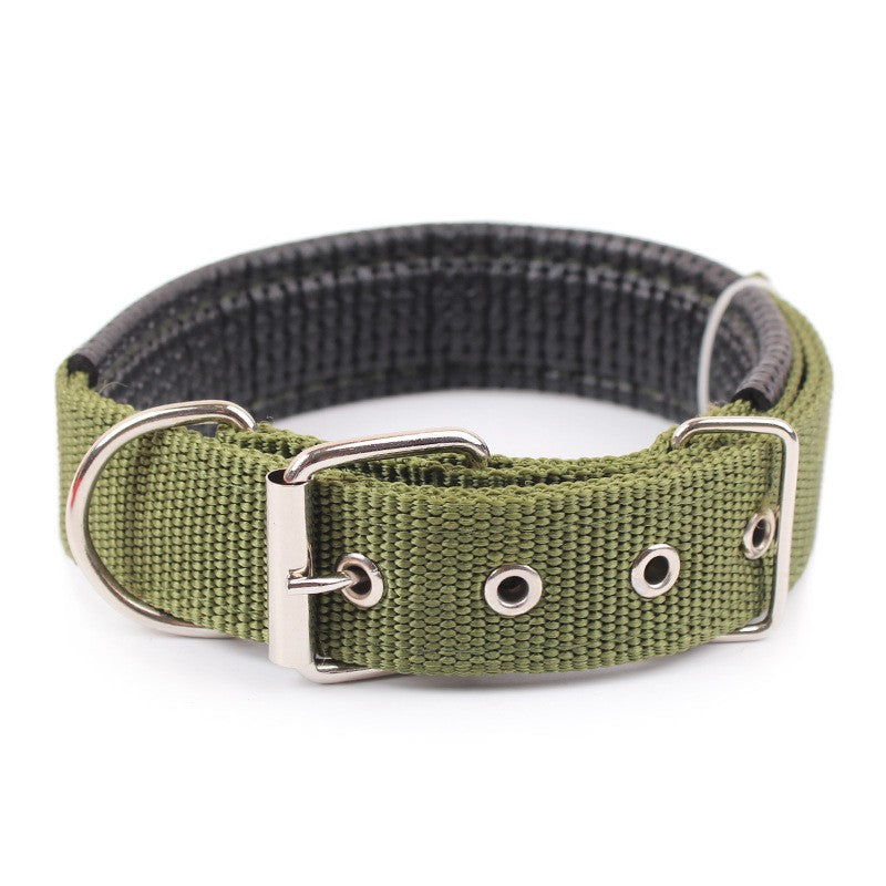 Heavy-Duty Nylon Dog Collar